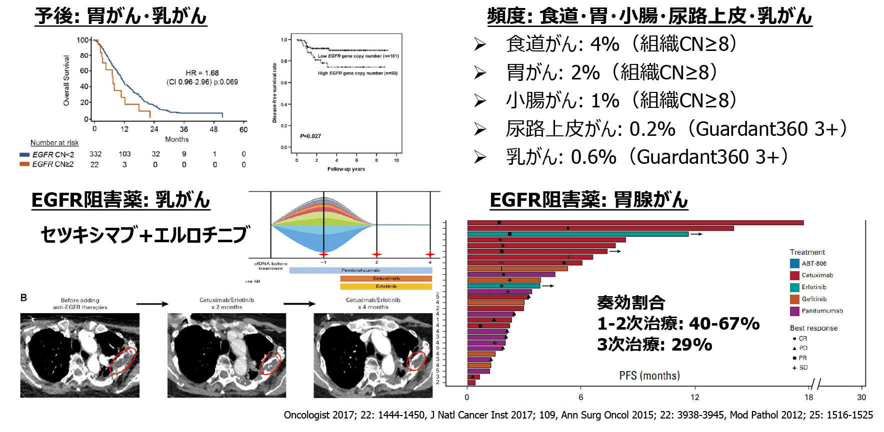 EGFR増幅陽性固形がん