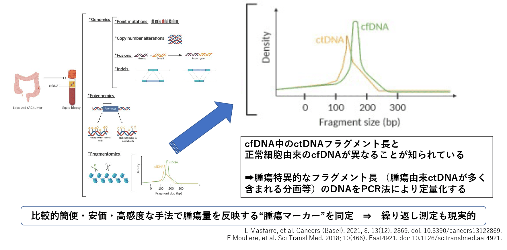 背景：cfDNA fragmentと臨床的意義